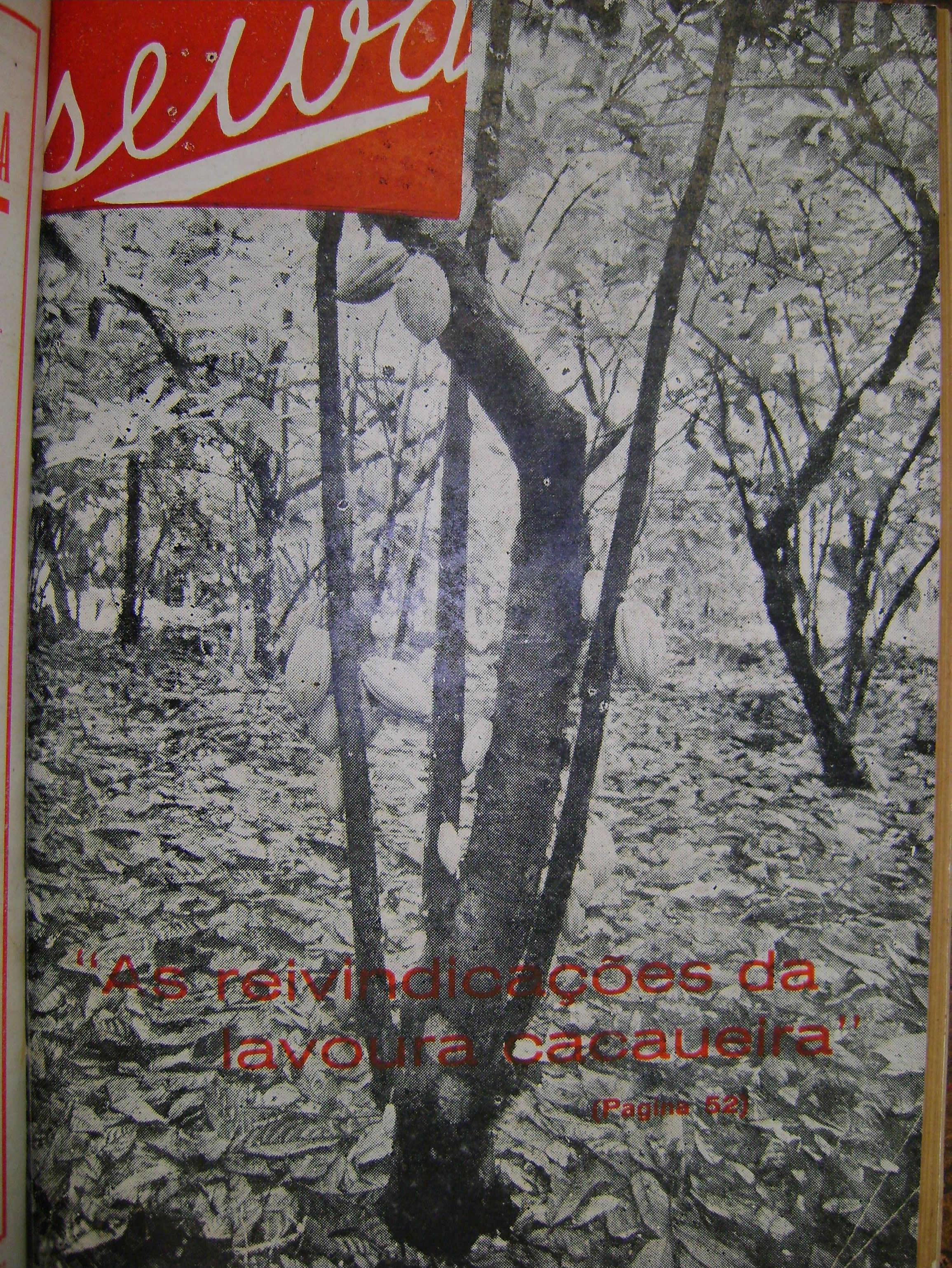 Capa